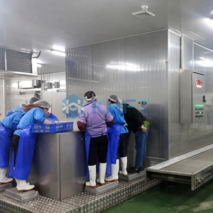 Congelatore Industriale a Tunnel KHFT per la Lavorazione degli Alimenti, Congelamento Rapido, Linea di Produzione di Alimenti Congelati - Product Image 5