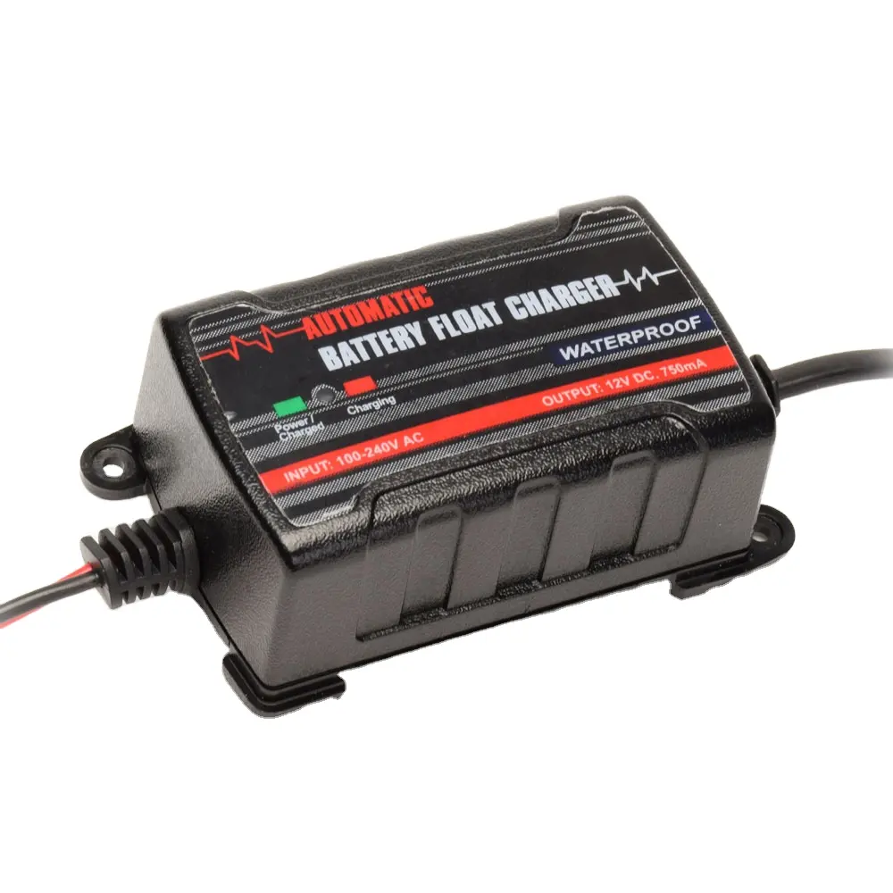 Professional 6v 12v Lead Acid And Lithium-ion Battery Charger For Car/truck/marine