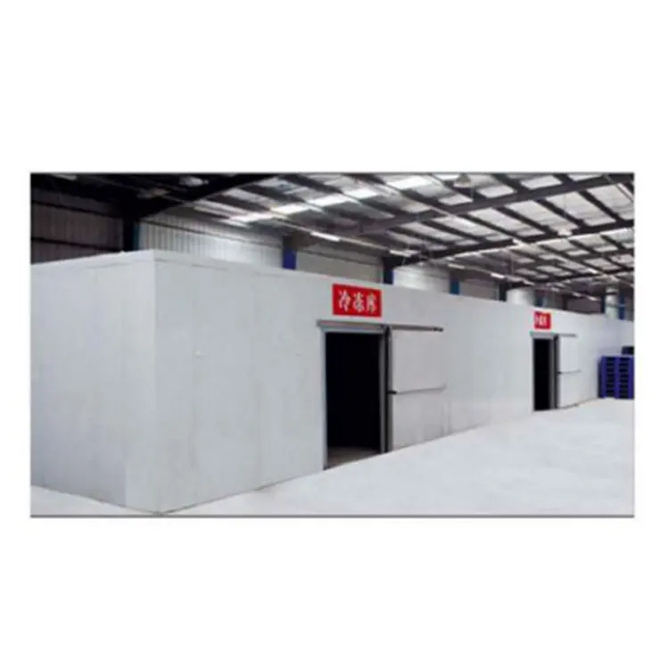 building Large Cold Storage Walk in Freezer Cold Room Project for Warehouse Cold Chain install cold storage project