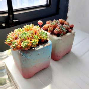 HY2 En gros Pots créatifs pour plantes succulentes en pierre <span class=keywords><strong>de</strong></span> Maifan, en <span class=keywords><strong>poterie</strong></span> grossière absorbante, pour le stockage - Product Image 2