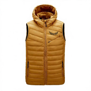 Gilet matelassé à capuche pour homme, chaud, coupe-vent, avec fermeture éclair sur le devant, broderie, couleur unie, vêtement d'extérieur décontracté - Product Image 1
