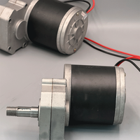Motor DC Brushless 12V 24V 600W dengan poros 18mm untuk Mesin Pemotong Rumput, Motor Pemangkas Rumput Listrik Torsi Tinggi