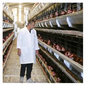 Jaula completa automática para granja de huevos y pollos, diseño moderno de fábrica de China, a la venta