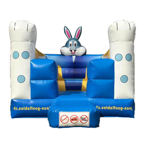 पार्टी बाउंसर Jumpers वयस्क आउटडोर फुलाया Inflatable धुनों उछाल घर का नेतृत्व किया - Product Image 1