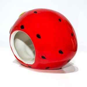 Maisonnette en céramique pour petits animaux, abri pour hamster, cabane pour chinchilla, cage pour animaux de compagnie, accessoire de cage mignon - Product Image 6