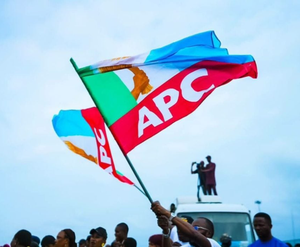 Drapeaux de Campagne Nigériens en Gros 3x5ft – Drapeaux des Partis APC et PDP – Bannières du Parti Démocratique du Peuple (APC) et du Parti Démocratique du Peuple (PDP) 2027 - Product Image 2