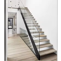 Ace Escalier en bois à bande de roulement en verre Escaliers droits Escaliers intérieurs personnalisés