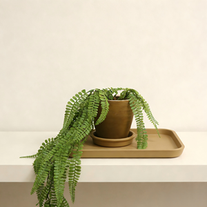 Plante artificielle suspendue de type fougère de Boston avec corde <span class=keywords><strong>en</strong></span> chanvre, fougère moelleuse <span class=keywords><strong>en</strong></span> papier mâché, plantes suspendues pour la décoration intérieure de la maison et de la cuisine - Product Image 4
