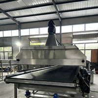 Congelador de Túnel de Nitrógeno Líquido en Oferta con Control Automático y Fácil Operación para Aves de Corral, Alimentos Cocinados y Comidas Preparadas