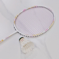 Raquette Dmantis OEM disponible, raquette en carbone intégral, raquette de badminton professionnelle haut de gamme, meilleures raquettes de badminton pour l'entraînement
