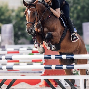 Spectacle équestre écologique de style occidental Obstacles de saut d'obstacles Poteau en PVC léger personnalisable Sauts de <span class=keywords><strong>cheval</strong></span> en aluminium - Product Image 3