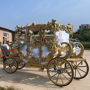 Calèche royale électrique de luxe pour mariage et visites touristiques, capacité de 4 à 6 personnes - Product Image 6