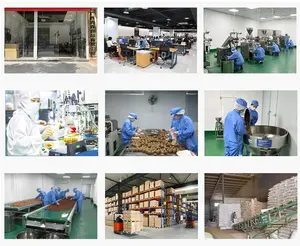 Nhà máy cung cấp Trung Quốc thảo mộc tự nhiên ngọt ngào 100% siraitia Momordica grosvenori nhà sư trái cây Luo han Guo