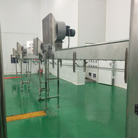 Machine automatique de fabrication de boissons gazeuses / Ligne de remplissage d'eau gazeuse en bouteille PET CSD