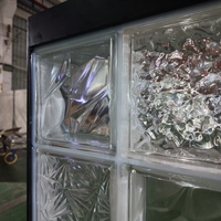 Paravent d'entrée personnalisé en acier inoxydable avec cadre texturé et bloc de verre creux