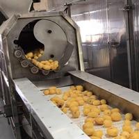 Multifunctionele fruitverwerkingsmachine productielijn motor tandwielmotor 304 roestvrij staal hoge efficiëntie industrieel gebruik