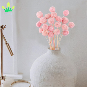 20 pièces de fleurs séchées Craspedia Billy Ball Buttons <span class=keywords><strong>rose</strong></span> foncé, bouquets floraux pour arrangements de mariage, maison, vase haut, style bohème, festival - Product Image 5