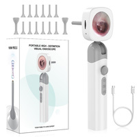 Otoscope vidéo numérique LED HD 1080P 2MP avec logo personnalisé SW, caméra endoscopique portable Wi-Fi pour l'élimination du cérumen à domicile