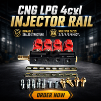 Kit de montage complet pour rail d'injecteurs autogas 4 cylindres de qualité professionnelle FC pour l'entretien et la révision des véhicules au gaz naturel (GNV)