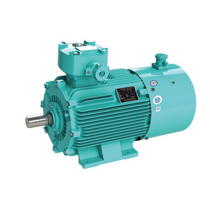 High Voltage Three-Phase 50Hz Explosion-Proof AC 7KV IE3 Efficiency IP55 Asynchronous <b>Motor</b> - Product Image 6