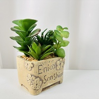 Arrangement de plantes succulentes artificielles en pot en céramique, style nordique, plante de bureau, décoration en pot, prêt à la vente, boîte cadeau