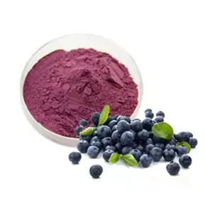 Natural Acai Berry Powder Organic Acai Berry juice Powder