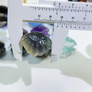 Wholesale Natural Crystal Carving Crafts Animal Product Polished Fluorite Mixed Mini Open Shell For Gift Children