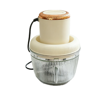 Mini hachoir à viande électrique 300W, portable, pour usage domestique, camping-car, acier inoxydable, lame en forme de S à quatre feuilles, moteur en cuivre, verre