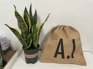 Bolsa de arpillera reutilizable con cordón de yute para cacao Bolsa de embalaje de granos de café - Product Image 3