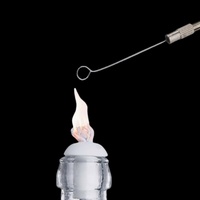 Bâtonnet d'inoculation pour laboratoire, 10 pièces, avec tige d'inoculation en cuivre, instrument médical, microbiologie, inoculation de cellules biologiques
