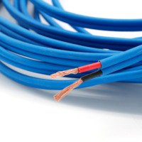 Tauchwasserpumpen-Stromkabel 2-adrig 4-adrig 14awg 12awg 10awg Brunnen wasserdichter Flachmotor-Elektrokabel