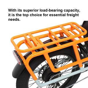 TXED OEM/ODM Support Unique Design 48v 10.4AH Double Lithium Battery 20Inch Alloy Frame 7Speed 48V250W Motor <strong>Electric</strong> Cargo <strong>Bike</strong> - Product Image 4