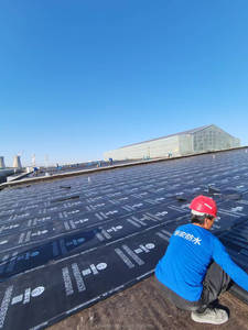 วัสดุก่อสร้างคุณภาพดี แผ่นกันซึมบิทูเมนสำหรับงานหลังคา แผ่นกันซึมสำหรับผนังชั้นใต้ดิน - Product Image 5