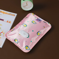 Bouillotte électrique médicale de classe II à arrêt automatique, étanche, rechargeable, pour eau chaude/froide, pour usage domestique