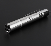 Penjualan terlaris senter Flash USB Flash tongkat penggelitik kucing penjualan laris mainan Pet bermotif pena kucing Laser