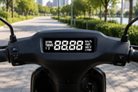 Module d'écran LCD TN personnalisable, tableau de bord numérique, compteur de vitesse pour moto électrique, vélo électrique, marque MAIJIN