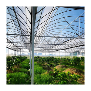 Lámina de Plástico para Invernadero, Blanca y Negra, Impermeable, para Uso Agrícola, con Efecto Anti-Algas - Product Image 4