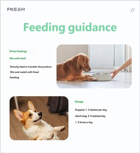Fast Absorption Chewable Tablets for <strong>Dogs</strong> All Breeds Suitable Hairball Control Digestive Health Supplement Vitamin D3/E Boost - Product Image 6