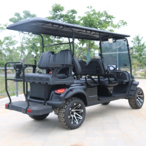 Carro de golf eléctrico legal personalizable de alto rendimiento cerrado con beneficios tangibles - Product Image 1