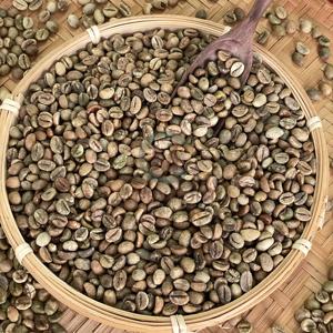 Grains de café vert Robusta du Vietnam taille 16 A Plus 95-99% pureté 60kg sacs en vrac naturels exportation de haute qualité - Product Image 6