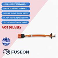 Kabel Tegangan Tinggi XLPE Terperisai Fleksibel Tinggi 600V IP67 untuk Koneksi Inverter Motor EV OEM Kustom