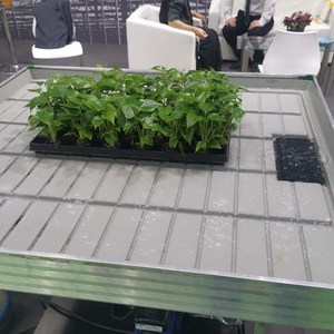 Ebb Flow Tray Bancos <span class=keywords><strong>de</strong></span> inundación Ebb and Flow Mesa rodante <span class=keywords><strong>Semillero</strong></span> - Product Image 2