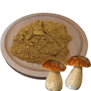 Extracto de <span class=keywords><strong>Hongo</strong></span> Porcini (<span class=keywords><strong>Boletus</strong></span> Edulis) en Polvo, Grado Alimenticio, Extracción por Solvente, Polisacárido 40%, Envasado al Vacío en Tambor - Product Image 4