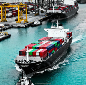 Agent d'expédition DDP, entreprise de logistique Chine-Europe, Pays-Bas, <span class=keywords><strong>Delfzijl</strong></span>, service de transitaire maritime porte-à-porte DDP FCL - Product Image 3