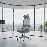 Chaise de bureau ergonomique moderne en maille pour le télétravail, certifiée avec vérin à gaz de classe 2, garantie 3 ans, base en acier, support lombaire réglable