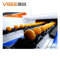 AI-aangedreven fruit sorteermachine met optisch visiesysteem