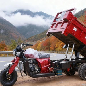 Motocicleta <span class=keywords><strong>de</strong></span> <span class=keywords><strong>Tres</strong></span> <span class=keywords><strong>Ruedas</strong></span> con Motor Diésel Abierto <span class=keywords><strong>de</strong></span> Gran Potencia, Utilizada para el Transporte <span class=keywords><strong>de</strong></span> Mercancías en Caminos Difíciles - Product Image 3