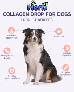 Gotas de Colágeno para Perros ODM con Biotina, MSM, Jengibre, Vitaminas C y E - Suplemento Sin Granos para la Salud de la Piel, el Pelaje, las Articulaciones y la Digestión - Product Image 2
