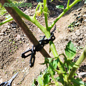 0,5 pulgadas x 50 pies Ajustable resistente rosa y arbusto bloqueo asy-Tie inerlock tie goma jardín árbol planta corbata Correa jardín - Product Image 6