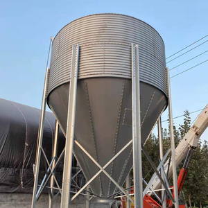 Silo per Mangime con Coclea <span class=keywords><strong>in</strong></span> Acciaio per Allevamenti <span class=keywords><strong>di</strong></span> Pollame e Polli <span class=keywords><strong>in</strong></span> Cina - Product Image 3